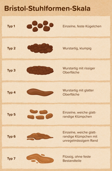 Bristol-Stuhlformen-Skala bei Hunden